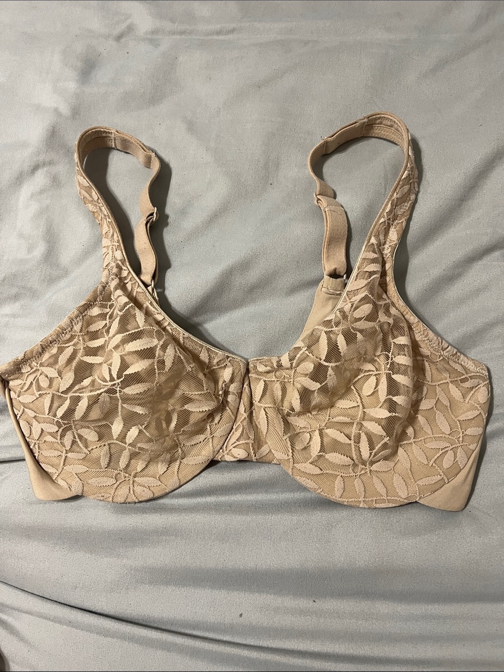 Olga Beige Lace Underwire Bra
